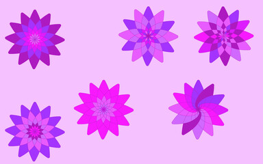 Purple little flowers