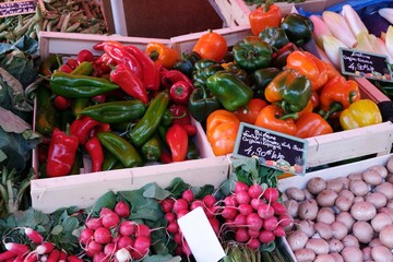 Étal de marché avec un assortiment de légumes bio