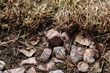 Small granite stones lie on the ground. Several Angular granite stones lie on the ground. Nearby last year's yellow and green lawn grass.