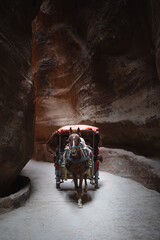 A horse carring its passengers through the canyon in Petra
