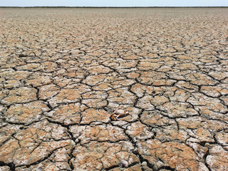 arid soil and dry planetary emergency