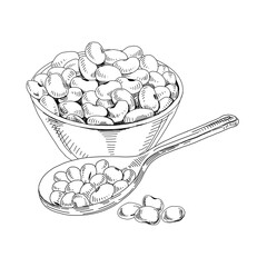 Soy beans in bowl and spoon, retro hand drawn vector illustration.