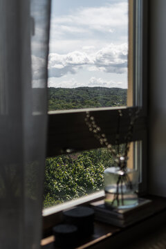 Fototapeta Forest seen from a window