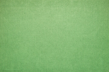 Green texture background and empty space for your design.