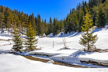 Pastoral winter view in West Rhodope mountains