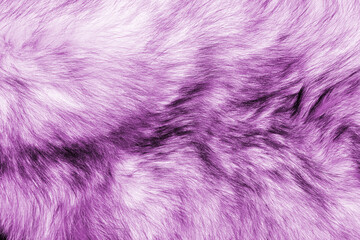 Colorful purple background fur texture