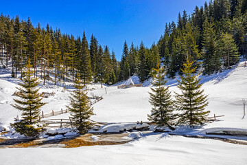 Pastoral winter view in West Rhodope mountains