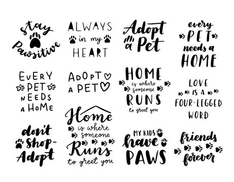 Pet adoption phrase black and white poster. Inspirational quotes about domestical pets adoption. Hand written phrases for poster, cat and dog adoption lettering. Adopt a pet.