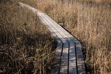 Fototapeta premium Sulfur ponds in swamp and wooden footbridge trail, Kemeri, Latvia.
