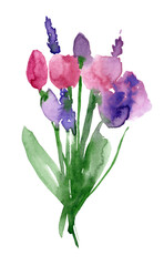 Watercolor bouquet of flowers with tulips and lavender