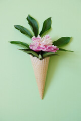 Peony leaf in a waffle cone. Summer concept.