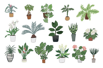 home plants hand drawn vector illustrations set