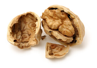 Fototapeta na wymiar walnuts on a white background