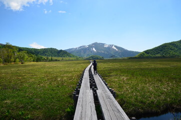 Woman hiking on Japanese wetland