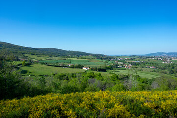 Fototapeta na wymiar Paysage des Monts du Lyonnais au printemps vers le col de La Luere