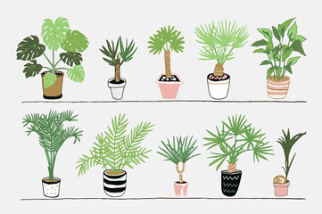 home plants hand drawn vector illustrations set