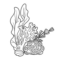 Cartoon sea objects with seaweed and coral outlined for coloring page isolated on white background