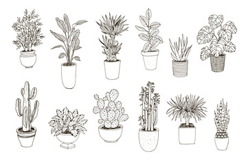 home plants hand drawn vector illustrations line set