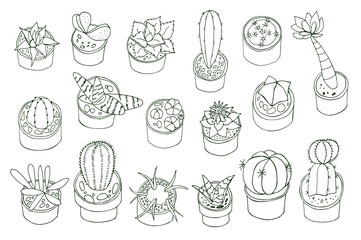 Cactus plants vector hand drawn illustrations set