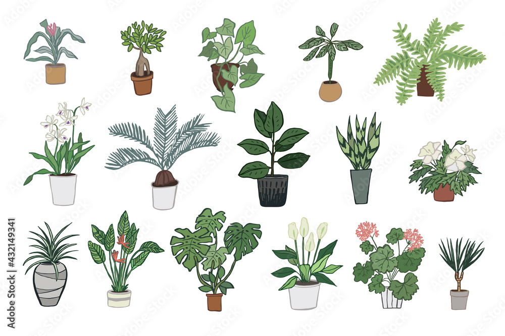 Wall mural home plants hand drawn vector illustrations set