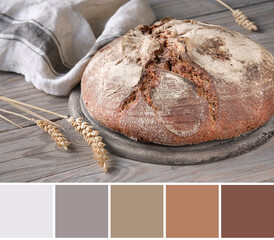 Color matching palette from No knead handmade loaf on wood with linen towel, dinkel ears. German Bauernbrot is Rustic Farmers Bread. Wholemeal rye wheat bread baked in Duch oven at home. - obrazy, fototapety, plakaty