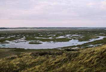 Réserve naturelle, Ile Texel,  mer des Wadden, Frize, Pays Bas