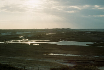 Réserve naturelle, Ile Texel,  mer des Wadden, Frize, Pays Bas
