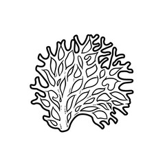 Lush coral object coloring book linear drawing isolated on white background
