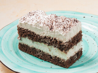 a piece of tiramisu cake on a blue plate