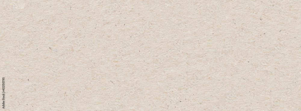 Canvas Prints cardboard texture or background. seamless panoramic pattern