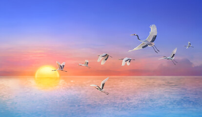 Paint red crowned crane flying through Beautiful sunrise