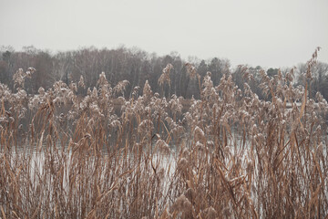 winter photography on a lake in germany bavaria ingolstadt