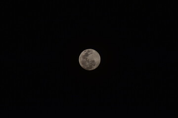moon is the light of night. full moon looks beautiful 