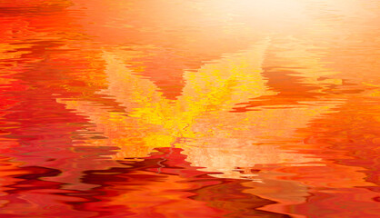 Red autumn leaf underwater at sunset