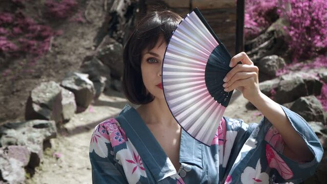 Close-up of caucasian geisha woman in traditional japanese kimono is covering her face with wooden hand fan, standing outdoors on red sakura trees background. Steadicam shot