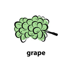 Watercolor ripe grape with leaves isolated on white in graphic style hand-drawn vector illustration.