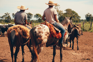 cowboy and horse in Brazil 