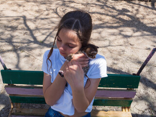 Cute teenage girl cuddles a small kitten to her cheek in the open air. A girl sits on a makeshift swing and gently cuddles a pretty kitten.