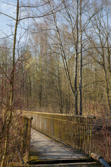 Fototapeta premium Pedestrian bridge in a park with bare trees. Early spring.