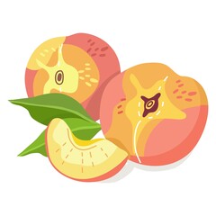 Vector illustration of peach composition isolated.