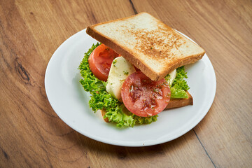 Delicious snack - toast sandwich with mozzarella, tomatoes and sauce in a white plate on a wooden background