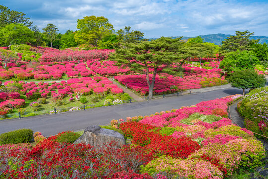 213 Best 小室山 Images Stock Photos Vectors Adobe Stock