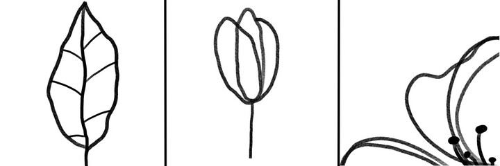 illustration of an flower