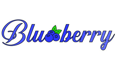 blueberry icon. logo, editable vector design.
