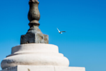 Il Volo del gabbiano. Arrivo da lontano