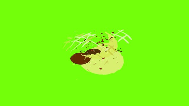Raspberry biscuit icon animation cartoon object on green screen background