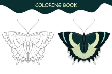 Coloring book butterfly. Butterfly Alcides agate