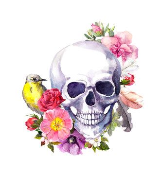 Human skull with flowers, feathers, bird. Watercolor