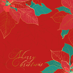 Silk Poinsettia Christmas square red background