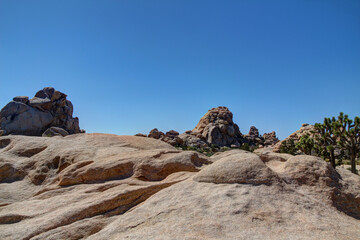 Rocky landscape with Joshua Trees (Yucca brevifolia) and large boulder rocks in Joshua Tree...